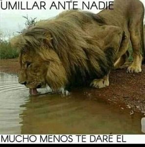 Meet your Posher, Beri